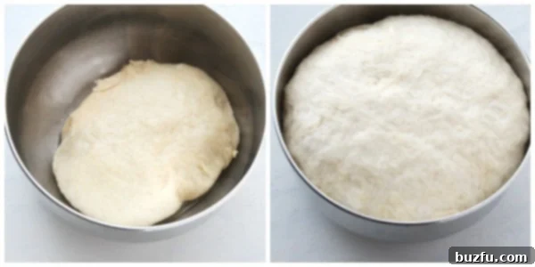 Yeast dough initially placed in an oiled bowl, next to a second image showing the dough beautifully doubled in size after rising.