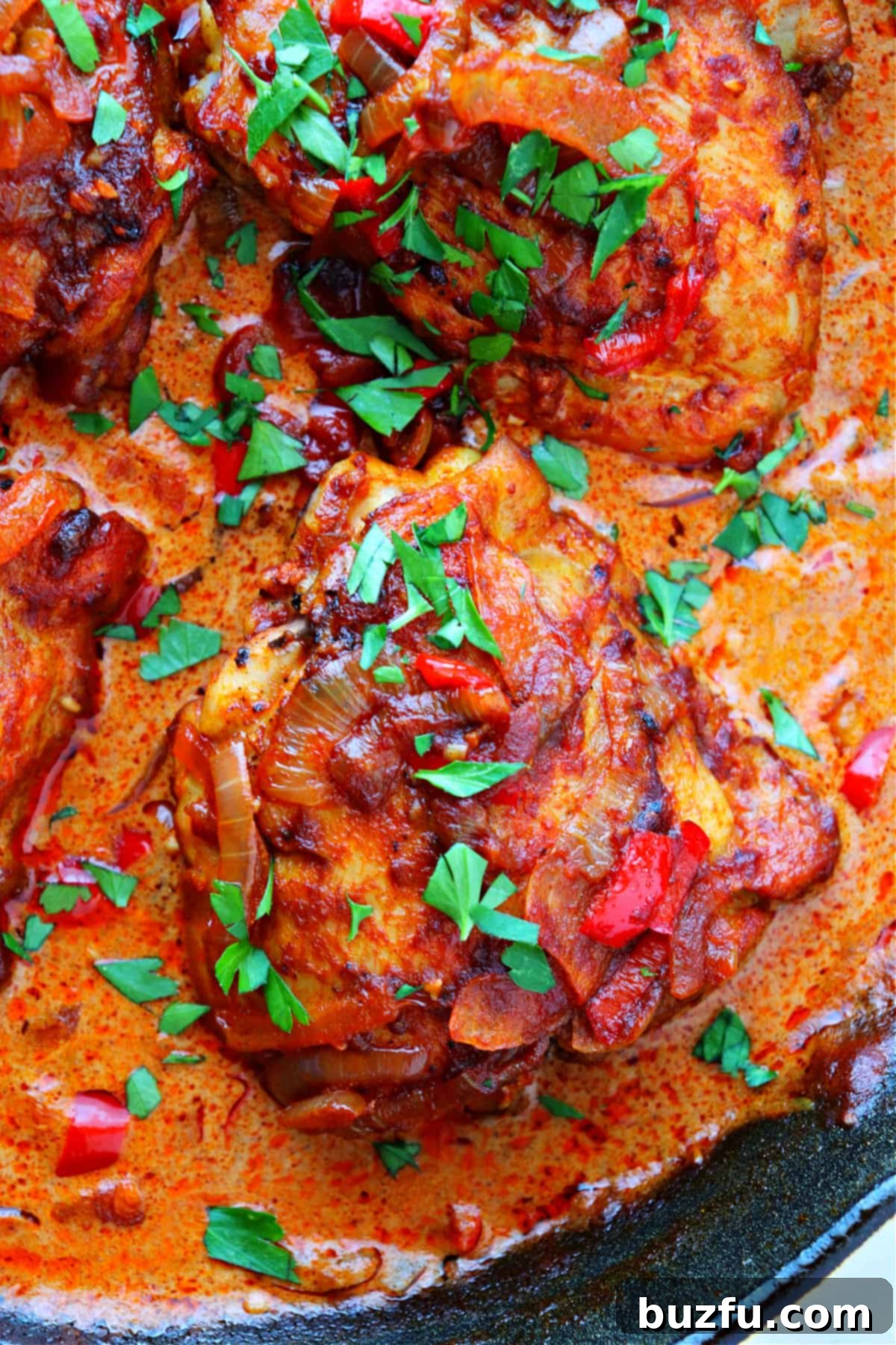 A beautifully plated serving of best chicken paprikash with a side of egg noodles, garnished with fresh parsley.