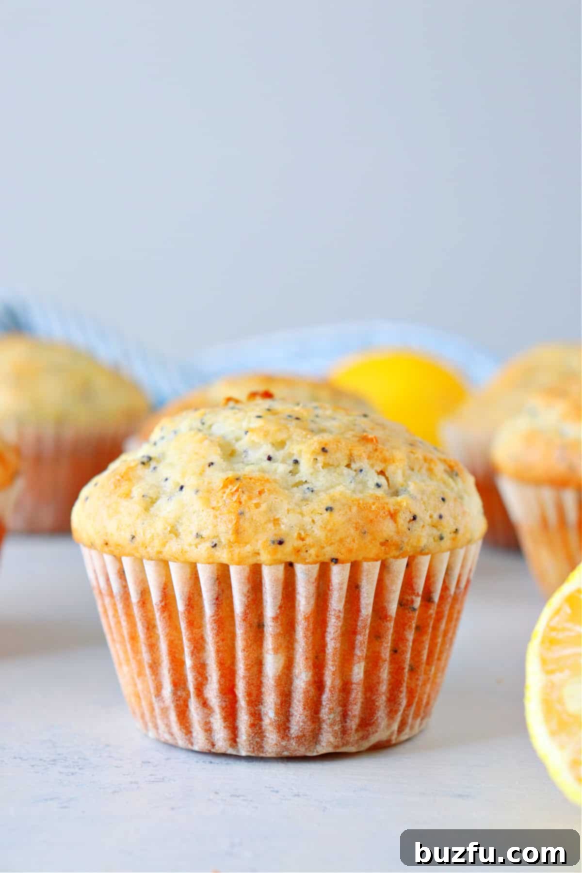 A perfectly baked lemon poppy seed muffin, unglazed, resting on a wooden board.