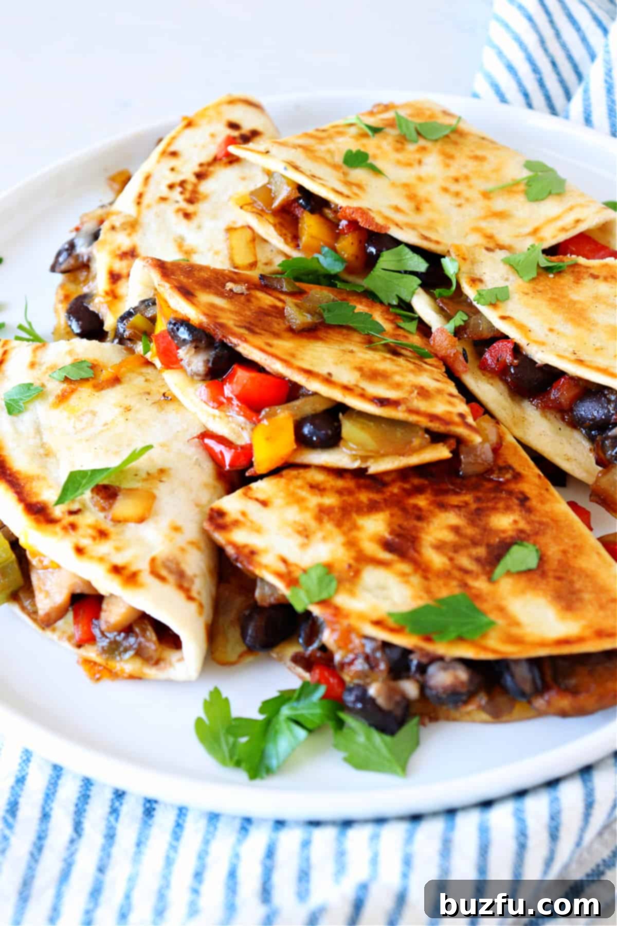 Quick and healthy vegetable quesadillas Golden brown vegetable quesadilla wedges arranged on a white plate with fresh toppings in the background.