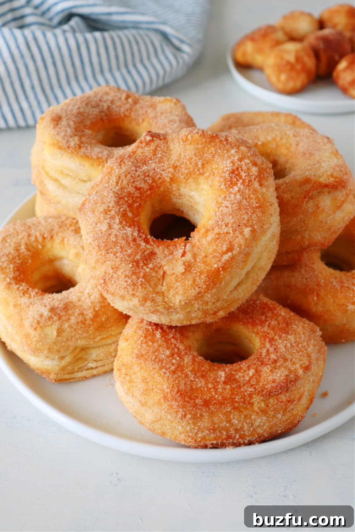 Easy Air Fryer Donuts with Canned Biscuits Recipe Golden brown air fryer donuts stacked on a plate, coated with glistening cinnamon sugar, ready to be enjoyed with a cup of coffee.