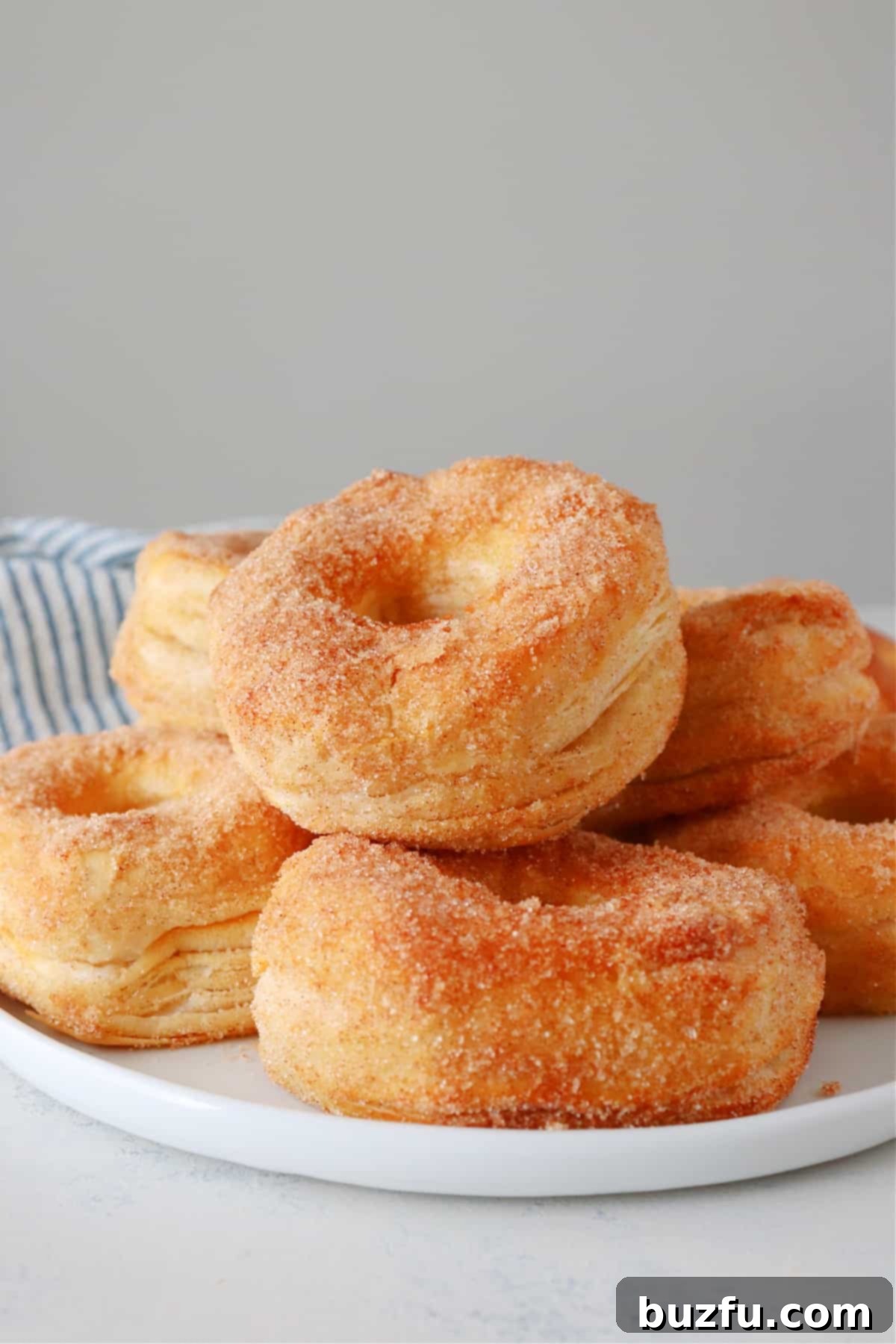 Cinnamon Sugar Air Fryer Donuts Display Stacked cinnamon sugar coated air fryer donuts on a pristine white plate, invitingly ready to be enjoyed as a delightful treat.