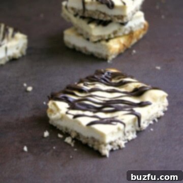 Light Chocolate Swirl Cheesecake Squares 2 Skinny Cheesecake Bars with Chocolate Drizzle