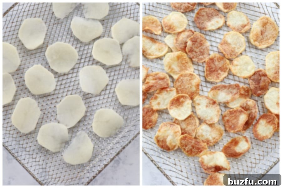 Potato slices on air fryer rack. Thinly sliced potato chips cooking on an air fryer rack, with some already baked to golden crispness.