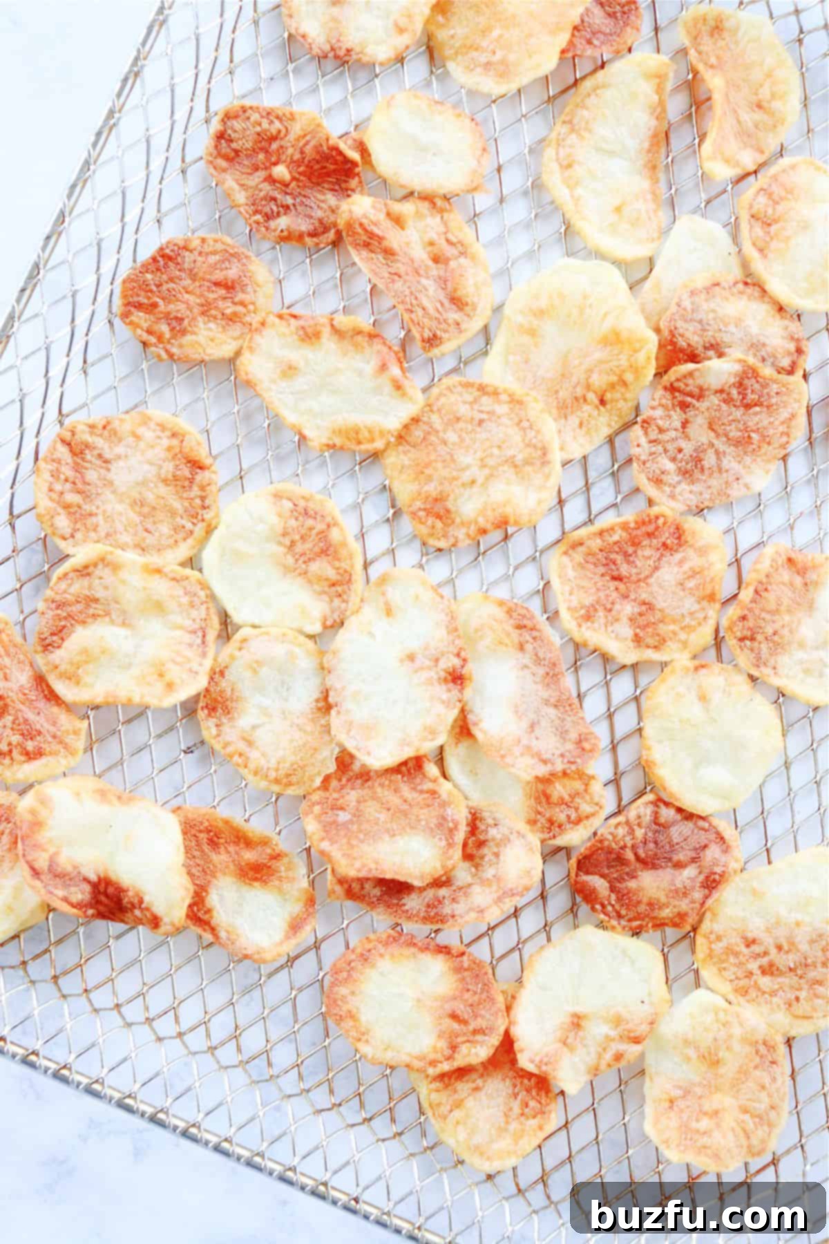 Air Fryer Potato Chips Crispy potato chips arranged neatly on an air fryer rack.