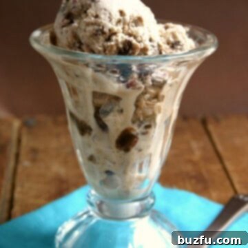 Homemade Fudge Brownie Ice Cream, a no-machine, no-egg recipe.