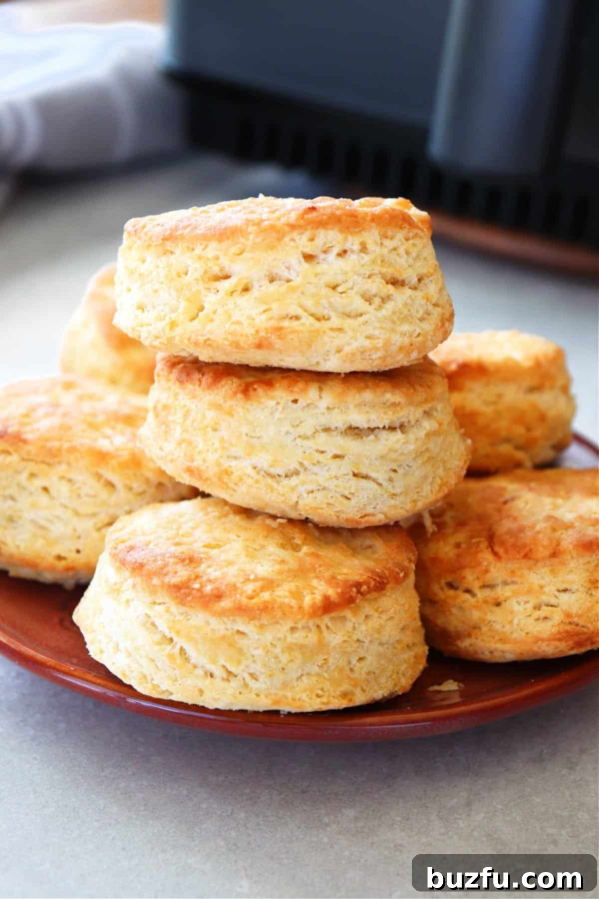Air Fryer Biscuits Recipe Freshly baked air fryer biscuits served on a plate next to an air fryer.