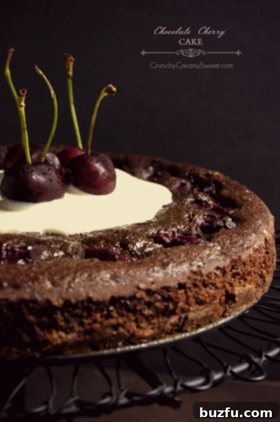 Side shot of a decadent chocolate cherry cake on a elegant cake stand, adorned with fresh cherries and chocolate shavings.