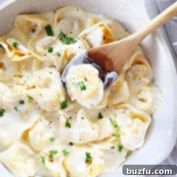 Tortellini in Alfredo sauce in a pan.