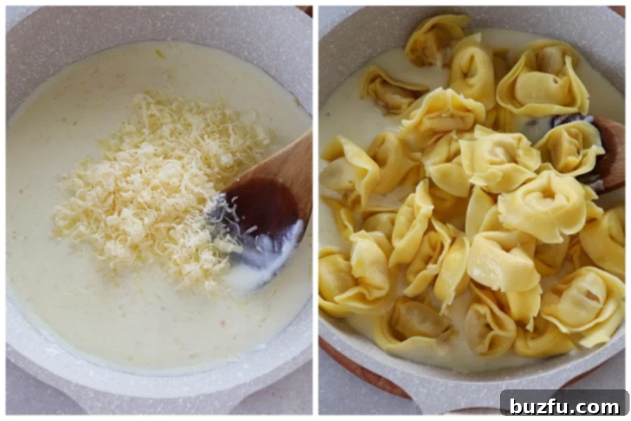 Cooked tortellini being tossed with creamy Alfredo sauce and Parmesan cheese in a pan.
