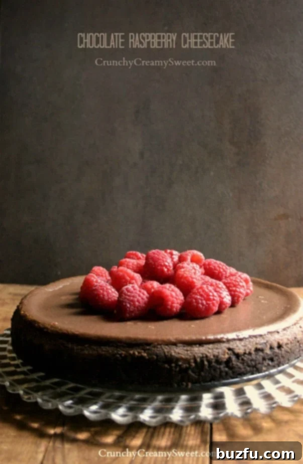 Decadent Chocolate Raspberry Cheesecake, a rich dessert topped with fresh raspberry sauce.