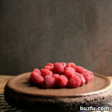 Chocolate Raspberry Cheesecake 1