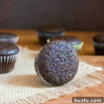 Heavenly Eggless Chocolate Minis 2 Eggless Chocolate Mini Cupcakes ready for frosting