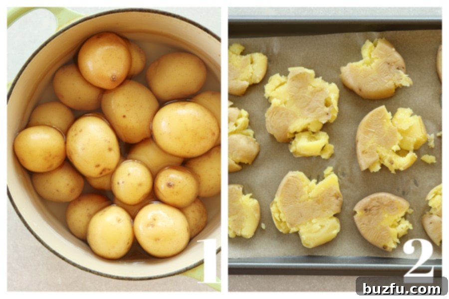 Effortless Crispy Smashed Potatoes 4 Golden baby potatoes in a large pot with water and smashed on a baking sheet.