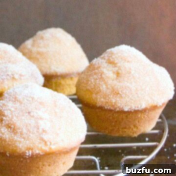 Cinnamon Sugar Coated Pumpkin Donut Muffins arranged neatly on a cooling rack, ready to be enjoyed.