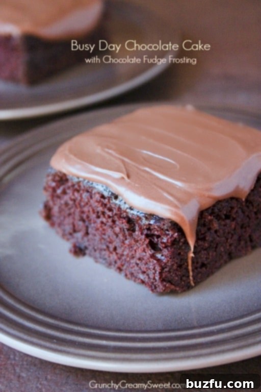 Quick Fix Chocolate Cake with Decadent Fudge Frosting 1 img 4107 1