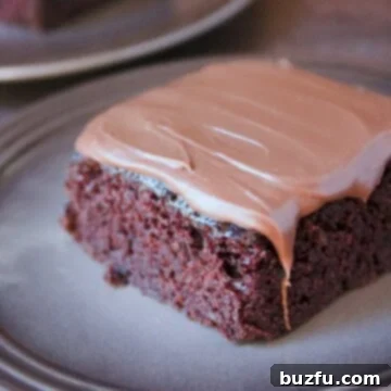 Quick Fix Chocolate Cake with Decadent Fudge Frosting 2 The best and easiest chocolate cake!