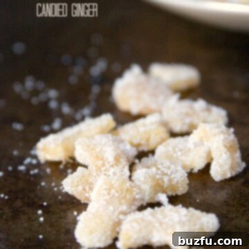 Homemade Candied Ginger Recipe