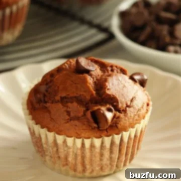 Decadent Chocolate Muffins Made Simple 9 Chocolate muffin in a wrapper on a small plate with more muffins behind it.