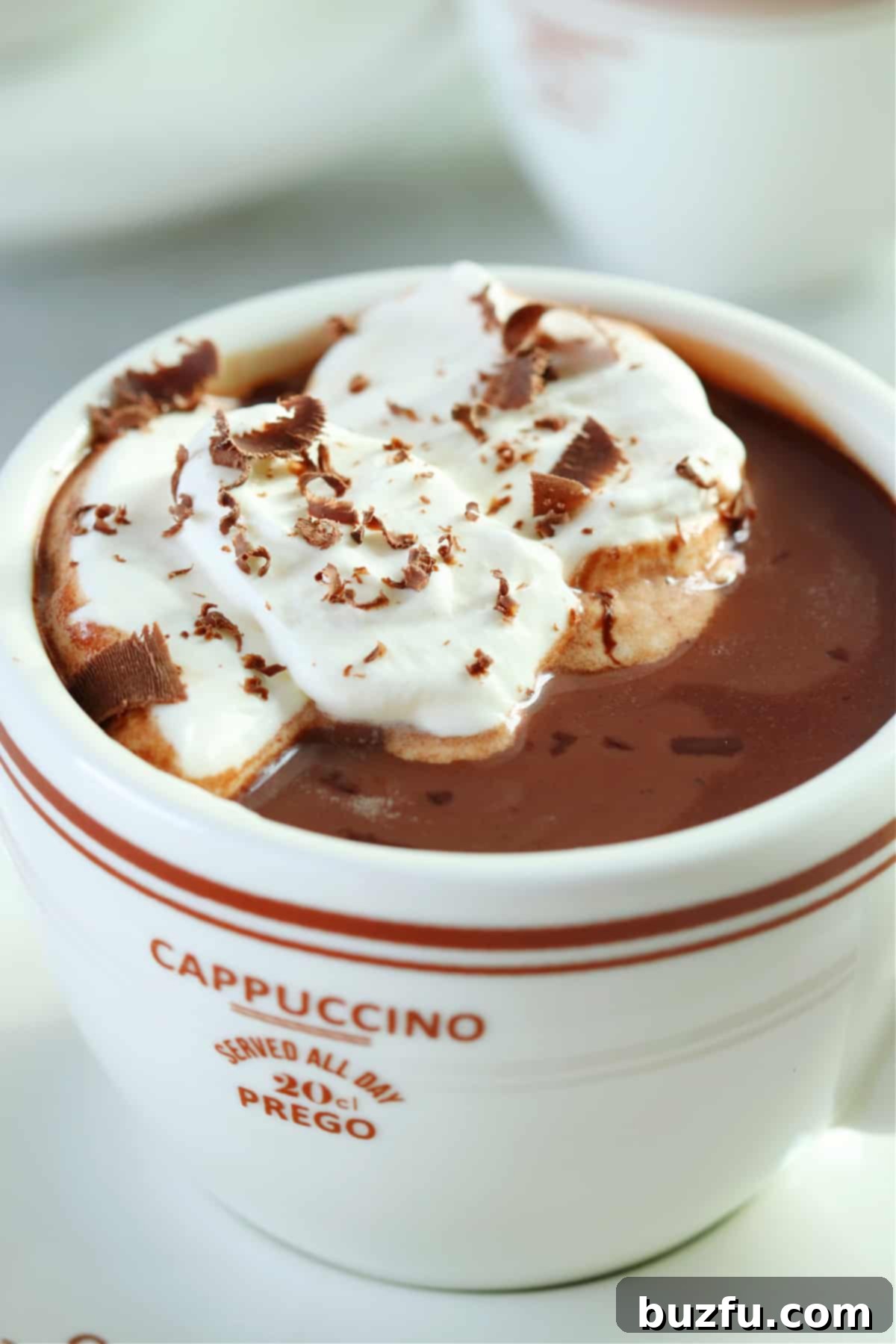 Close up photo of the whipped cream on hot chocolate in a white mug.