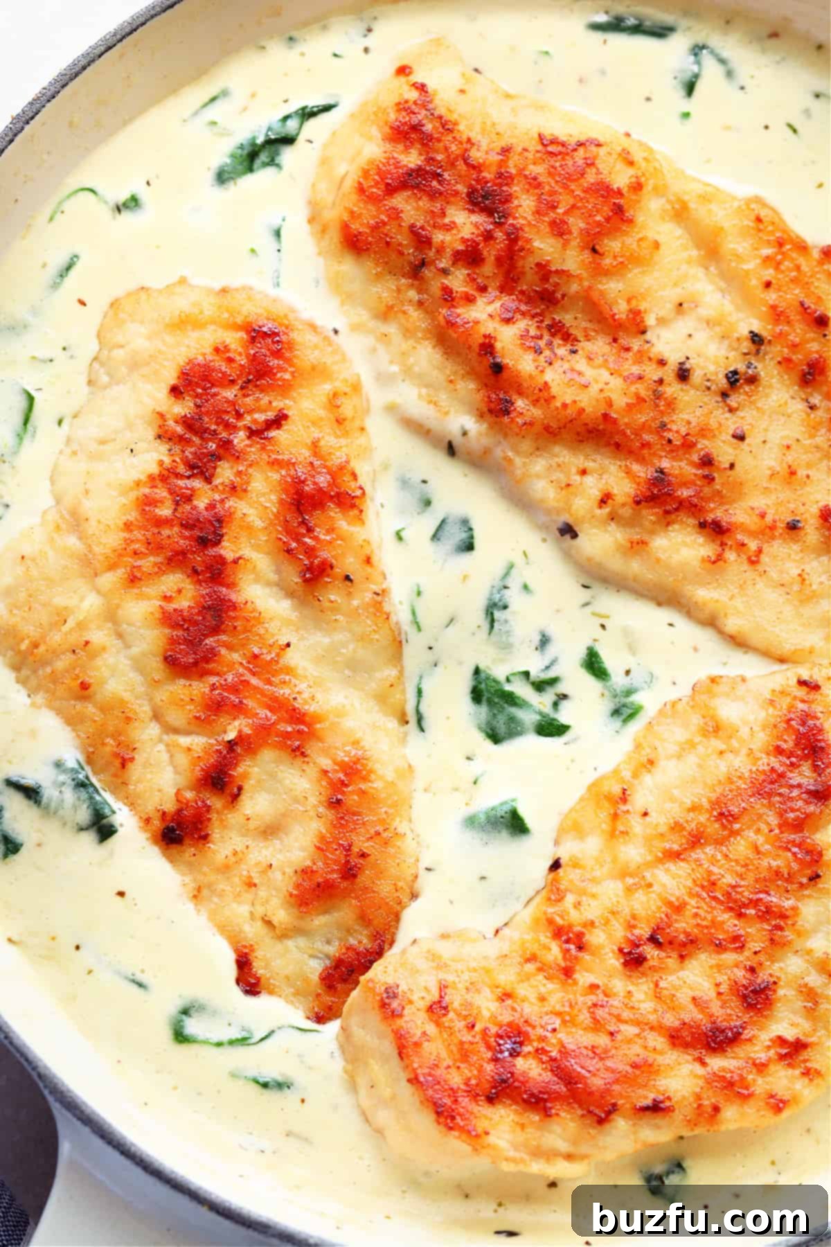 Three perfectly browned chicken breasts nestled in a luscious, creamy spinach sauce in a pristine white pan, ready to be served.