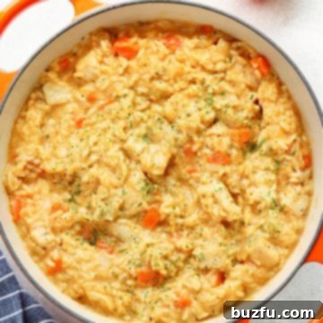 Creamy chicken and rice in an orange pan.