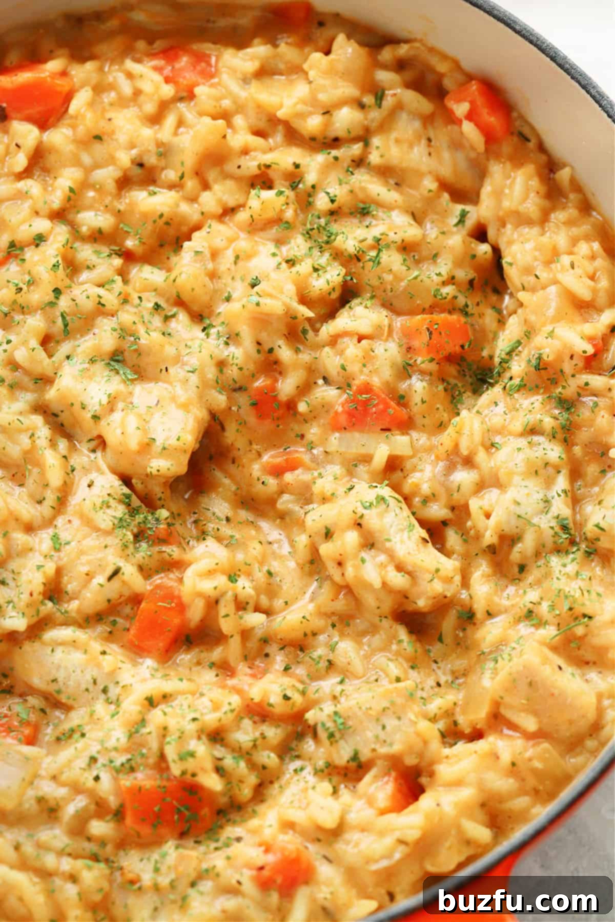 A close-up view of creamy chicken and rice, garnished with fresh parsley, served directly in the cooking pot.