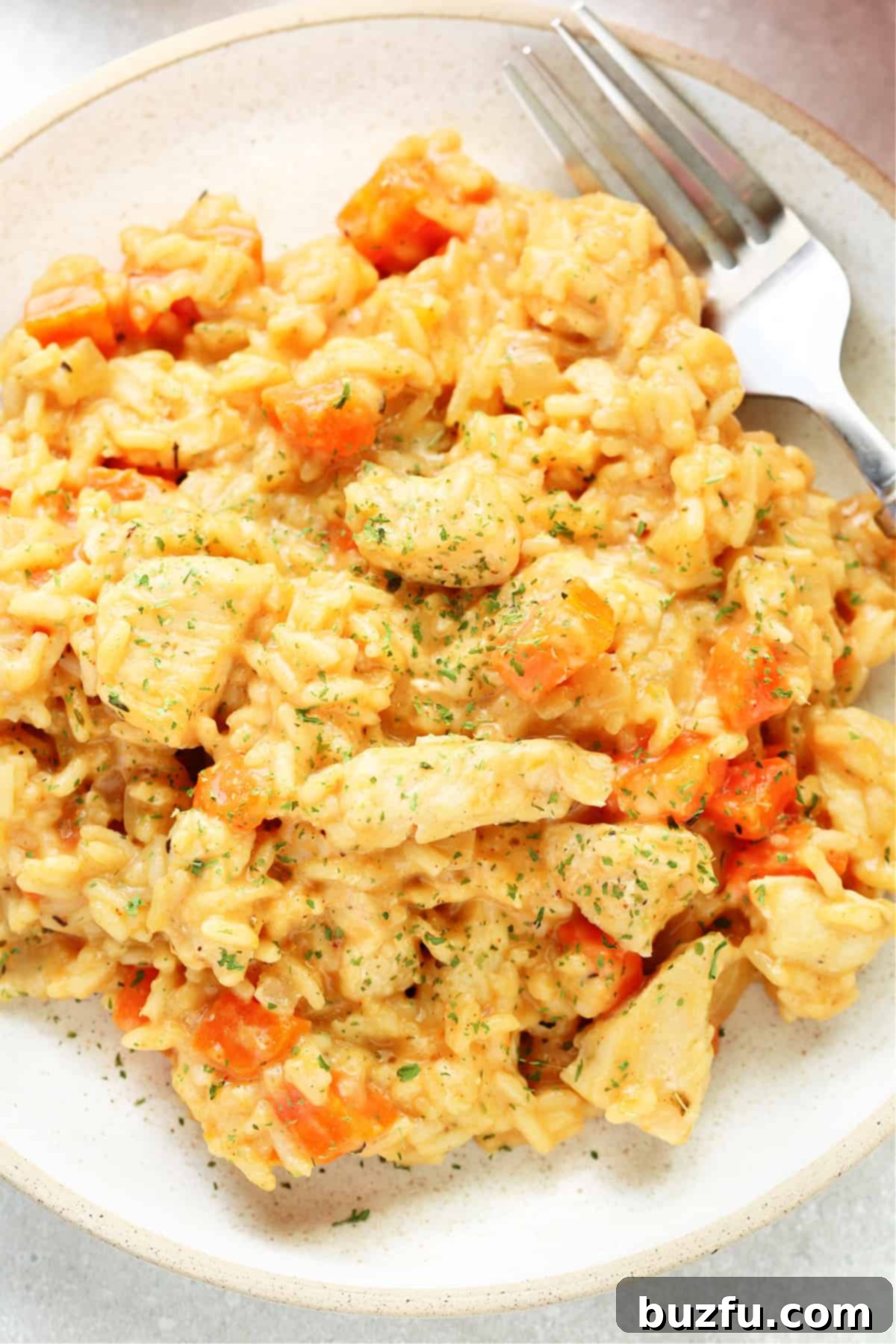 A serving of creamy chicken, rice, and carrots on a white dinner plate, with a fork beside it.