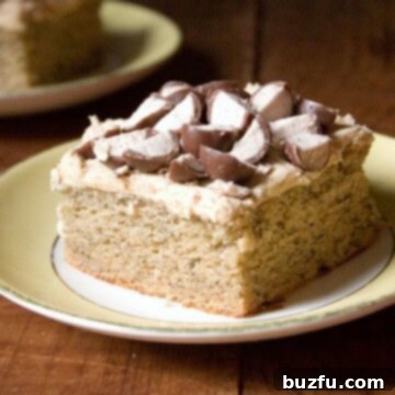The Best Banana Cake with Peanut Butter Frosting, featuring a delightful texture and rich topping.