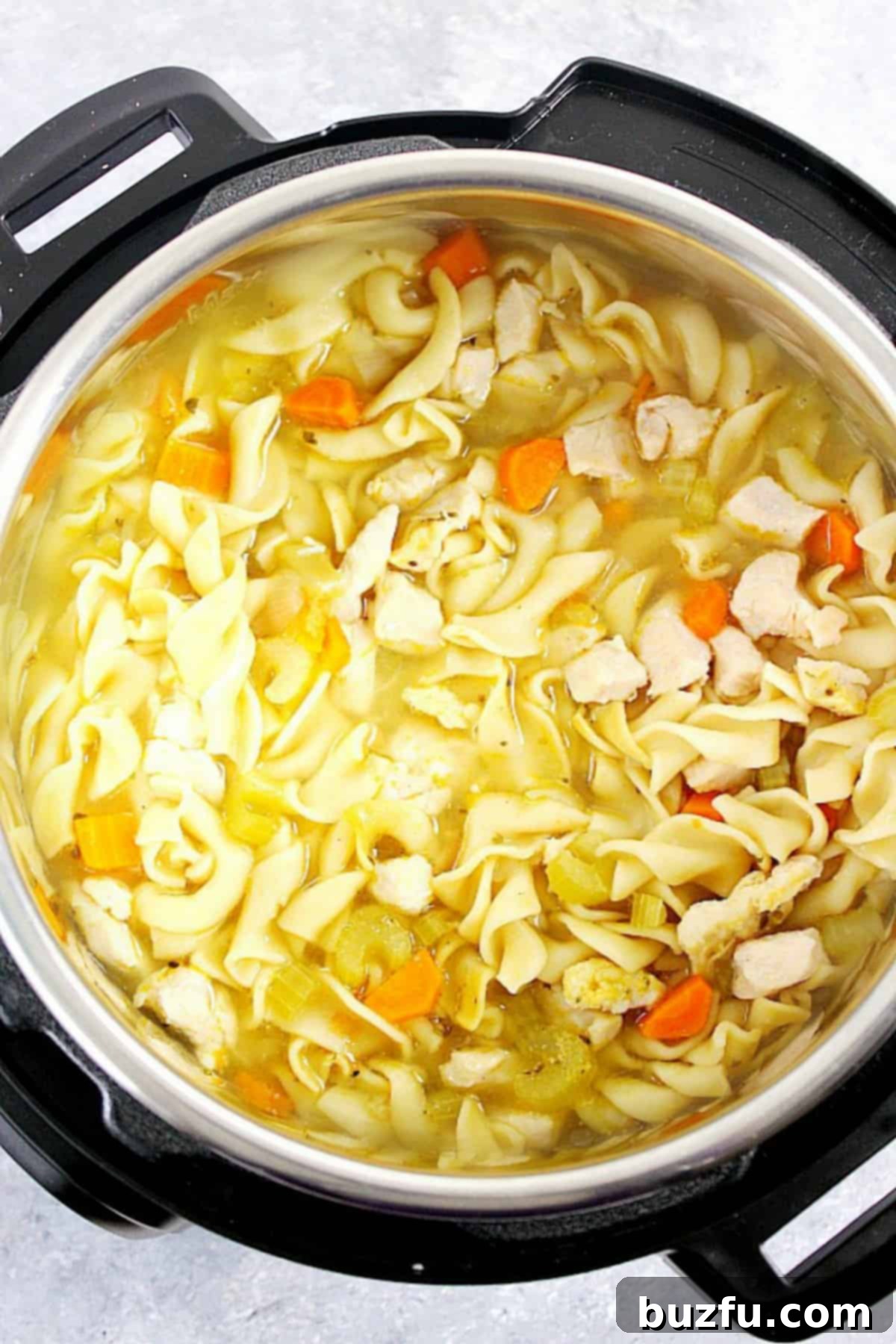 Hearty chicken noodle soup simmering perfectly in a pressure cooker, showcasing its rich broth, tender chicken, and vibrant vegetables.