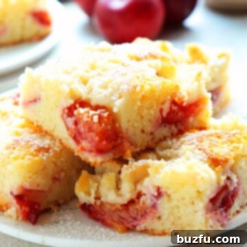 Close up photo of slices of coffee cake with plums on a white dessert plate, fresh plums in the back.