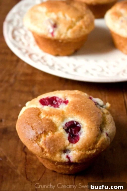 Fresh Cranberry Muffins - bakery style. A perfect breakfast during this holiday season!