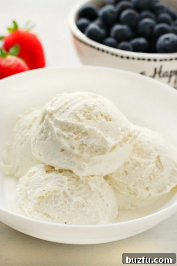 Makinesiz Süt Dondurması: Bulut Gibi Hafif 2 Creamy whipped milk ice cream in a white bowl, garnished with a mint leaf.