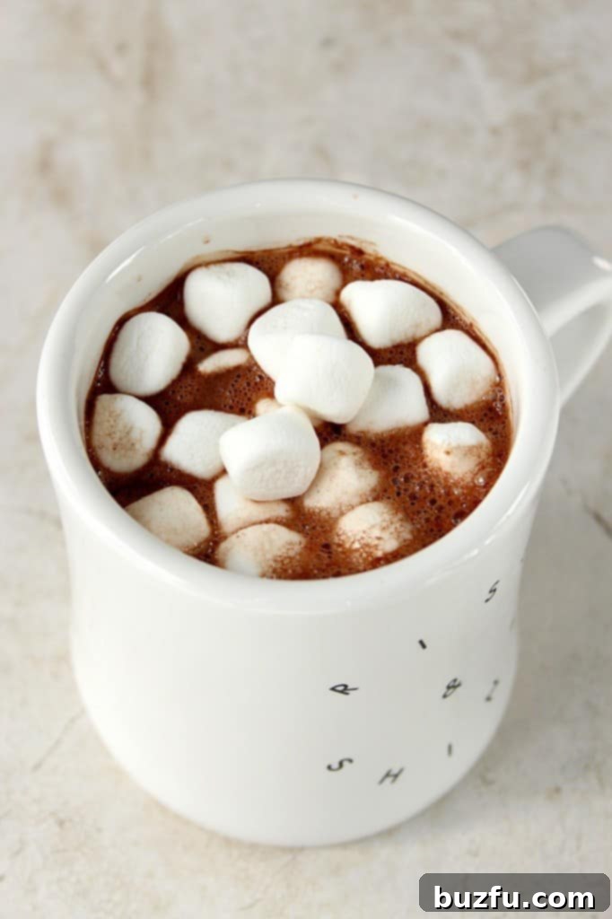 Enjoying a delightful cup of homemade hot chocolate with mini marshmallows A warm mug of homemade hot chocolate topped with fluffy mini marshmallows, perfect for a cozy moment.