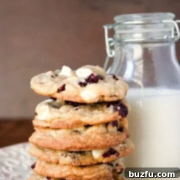 Cranberry Cookies with White Chocolate Recipe - baked to perfection