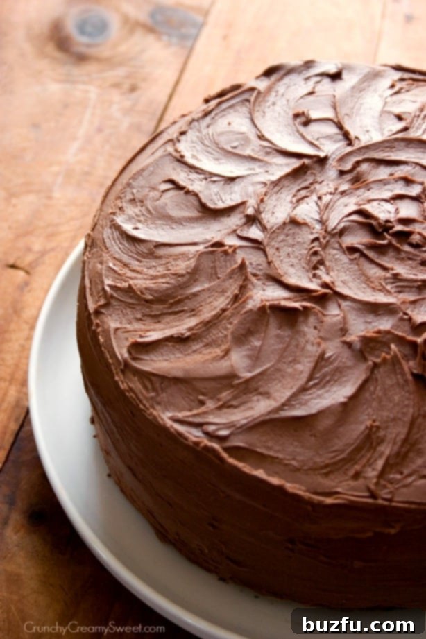 The Best Chocolate Cake - chocolate layer cake with rich and creamy chocolate frosting. The easiest chocolate cake you will ever make! Side shot of a perfectly frosted chocolate cake with elegant frosting swirls, ready to be sliced.