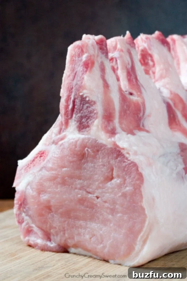 Close up shot of a bone-in pork loin, the ideal cut for making juicy pork chops.