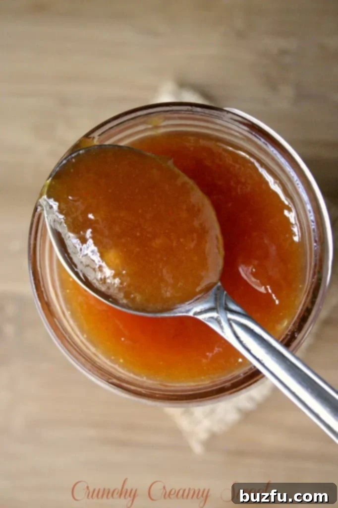 peach jam 2 A close-up shot of a spoon scooping homemade peach jam from a jar.