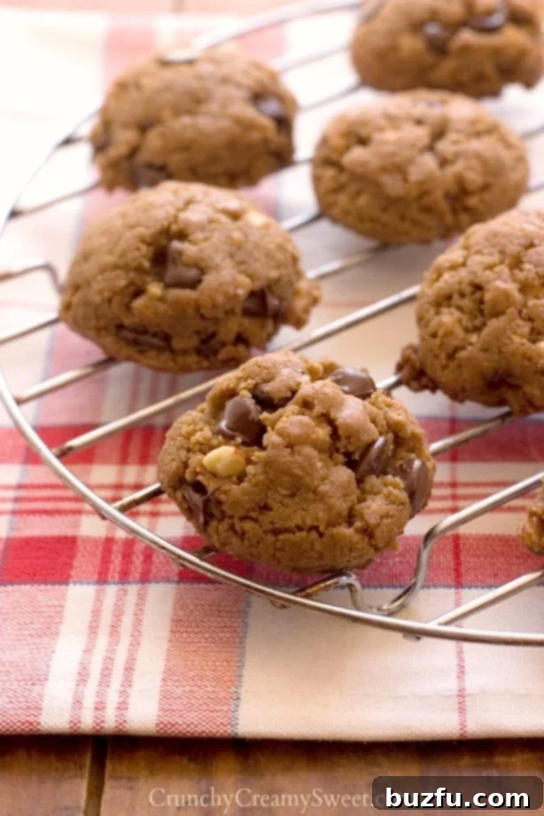 Peanut Butter Chocolate Granola Cookies