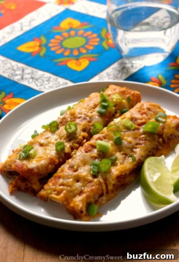Close-up of Black Beans and Quinoa Enchiladas, showcasing the rich sauce and melted cheese.