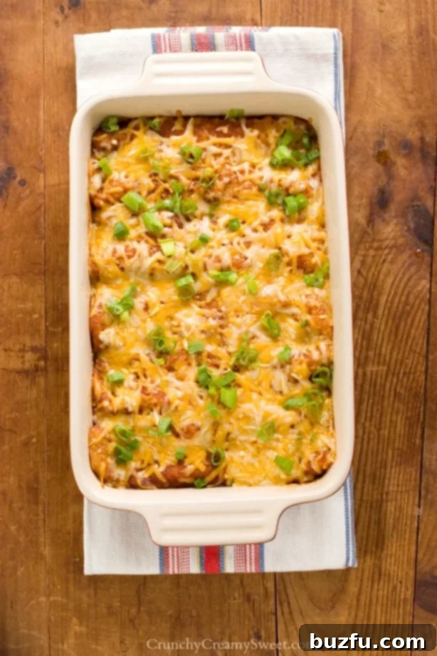 Plated Black Beans Quinoa Enchiladas, garnished with fresh cilantro and a lime wedge.