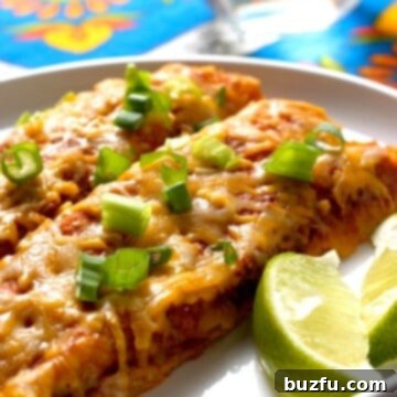 Quinoa enchiladas on a plate.