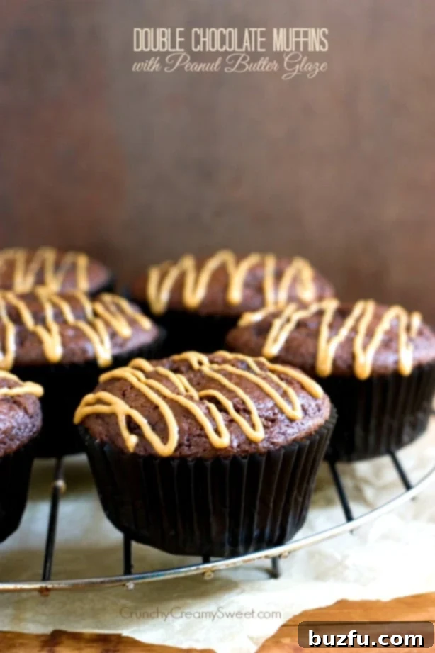 Double Chocolate Muffins with Peanut Butter Glaze Recipe from crunchycreamysweet.com - showcasing the rich chocolate muffins with a delicate peanut butter drizzle.