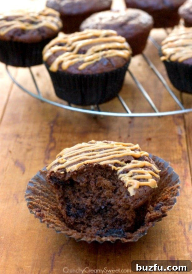 Chocolate Muffins with Peanut Butter Glaze Recipe from crunchycreamysweet.com - a close-up shot highlighting the texture and glaze.
