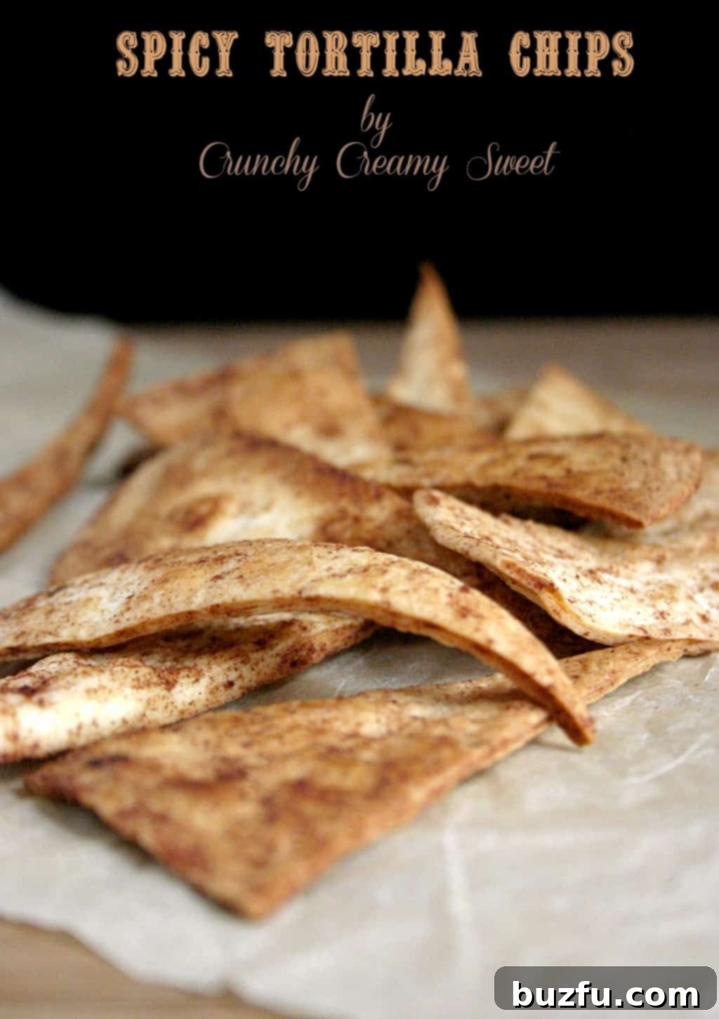 Homemade Spicy Tortilla Chips - perfect for dipping and snacking! Side shot of crispy homemade spicy tortilla chips ready to be dipped.