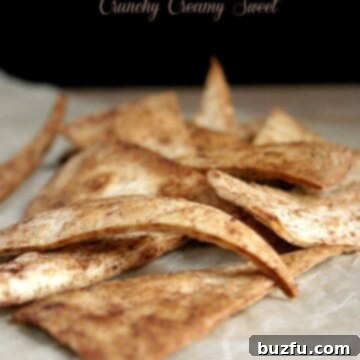 Zesty Oven-Baked Tortilla Crisps 2 Close-up shot of crispy homemade spicy tortilla chips in a bowl with a dip.