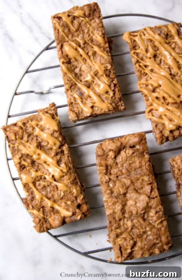 Chocolate Breakfast Cookie Bars - delicious chewy chocolate bars that are packed with crunchy cereal and oats. Drizzle with peanut butter for even more flavor! Delicious Breakfast Cookie Bars topped with Peanut Butter Drizzle