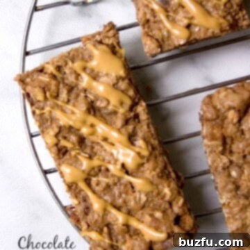 Grab-and-Go Chocolate Cookie Bars 2 Chocolate Breakfast Cookie Bars recipe from crunchycreamysweet.com