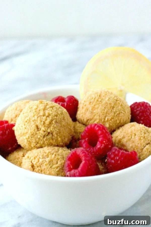 Delicious Lemon Raspberry Cheesecake Bites, an easy and quick no-bake recipe. Lemon Raspberry No Bake Cheesecake Bites in a rustic bowl, showcasing their creamy texture and vibrant color.