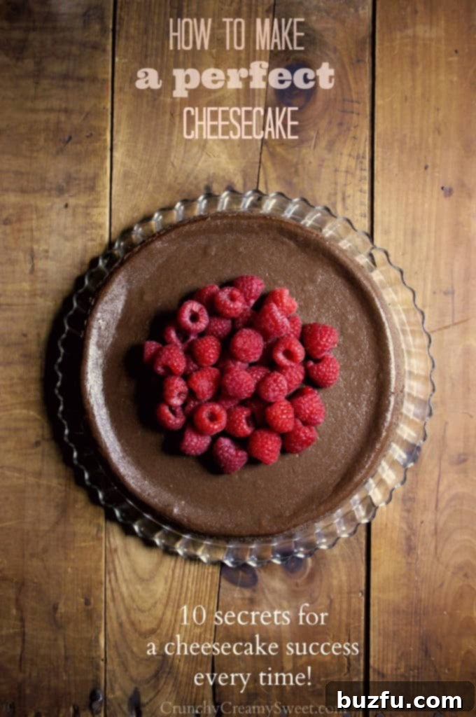 How to Make a Perfect Cheesecake: Your step-by-step guide. A beautifully baked classic cheesecake, showcasing a smooth top and golden crust.